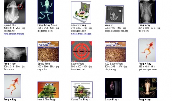 Creation of Frog X-ray: Step 1